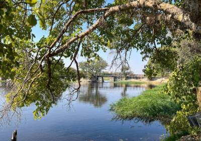 31.8.2022 - Old Bridge, Maun