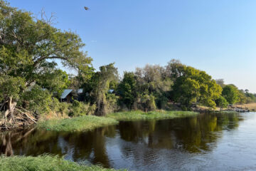 31.8.2022 - Old Bridge, Maun