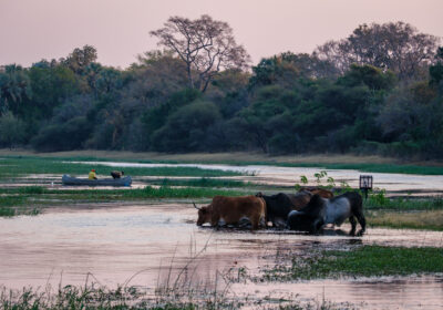 31.8.2022 - Old Bridge, Maun