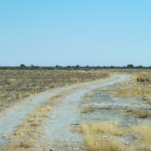 Botswana 2022 – CKGR Landschaften