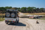 12.9.2022 - Makgadikgadi, Durchfahrt durch den Boteti