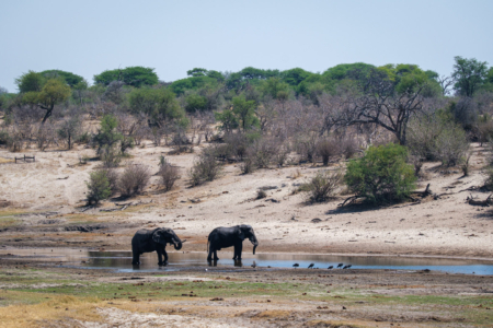 12.9.2022 - Makgadikgadi, Boteti