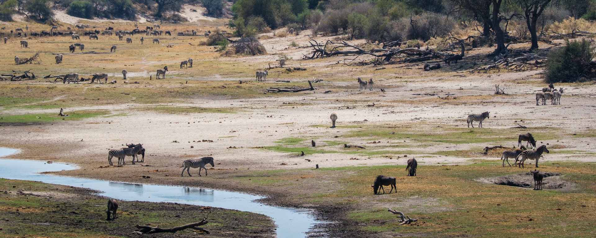 12.9.2022 - Makgadikgadi, Boteti, Noon Drive