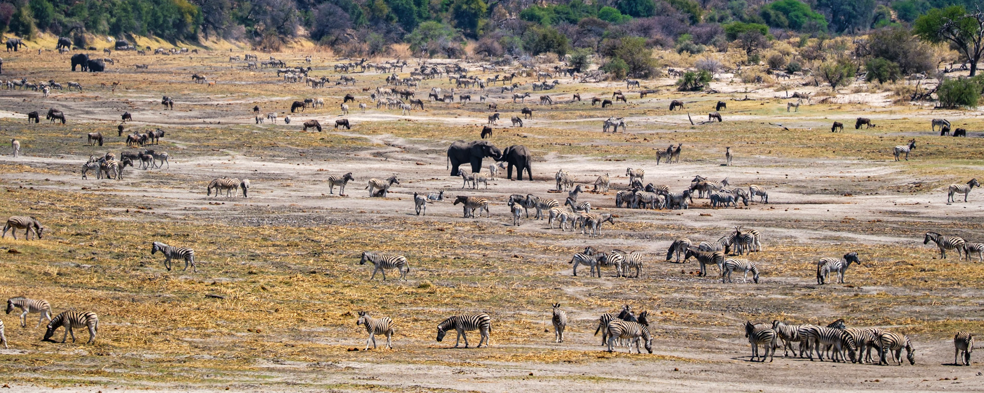 12.9.2022 - Makgadikgadi, Boteti, Noon Drive