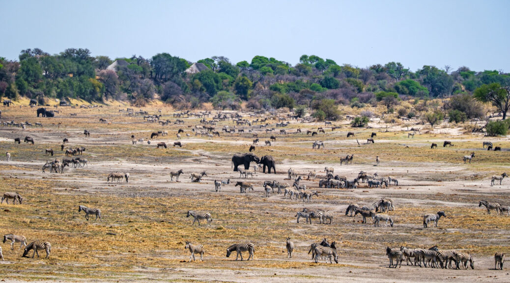 12.9.2022 - Makgadikgadi, Boteti, Noon Drive
