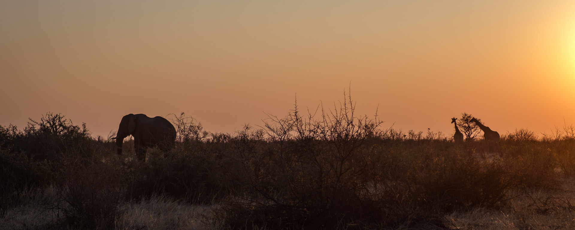 12.9.2022 - Makgadikgadi, Boteti