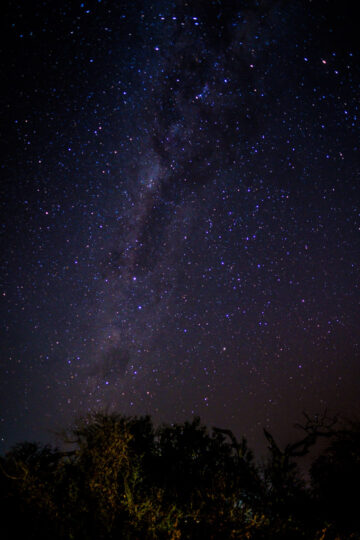 12.9.2022 - Makgadikgadi, Khumaga Campsite 2, Milchstraße