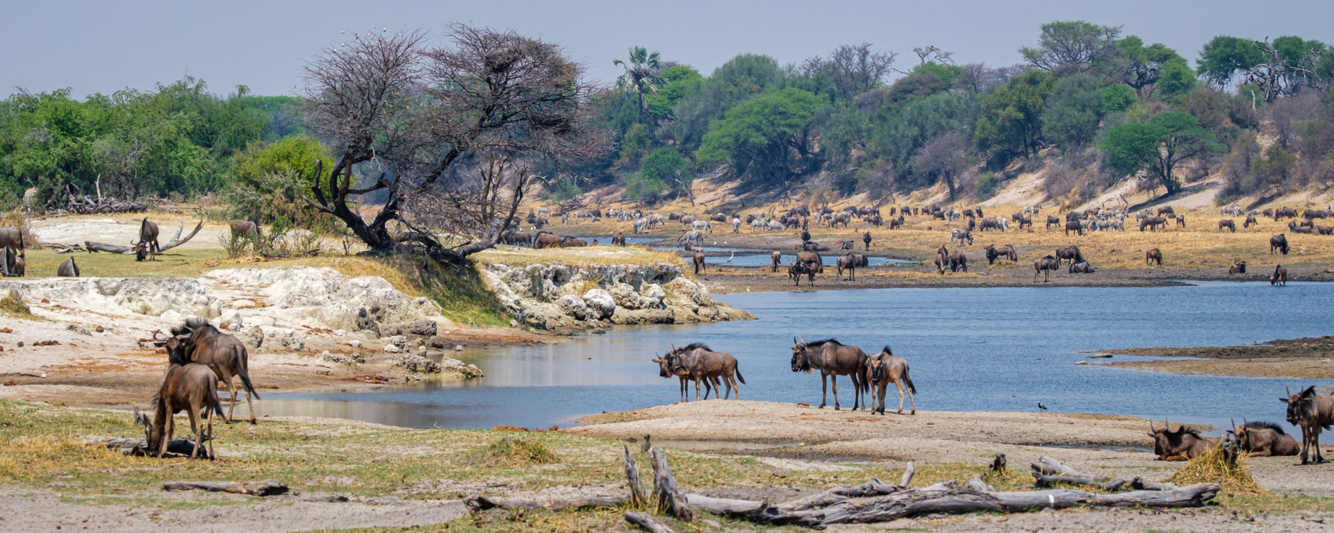 13.9.2022 - Makgadikgadi, Boteti, Noon Drive