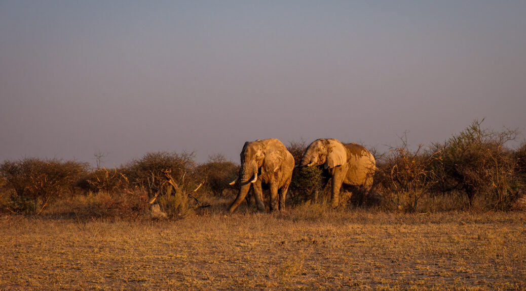 14.9.2022 - Nxai Pan Waterhole