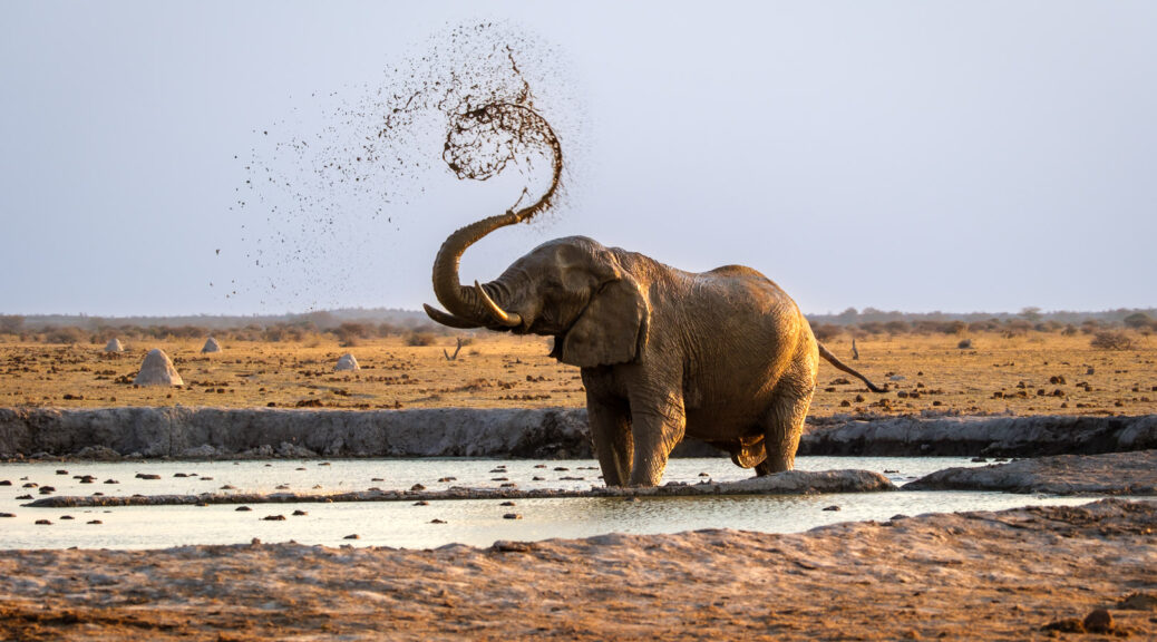 14.9.2022 - Nxai Pan Waterhole