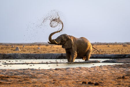 14.9.2022 - Nxai Pan Waterhole