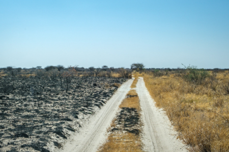 16.9.2022 - Nordzufahrt zu Baines Baobab