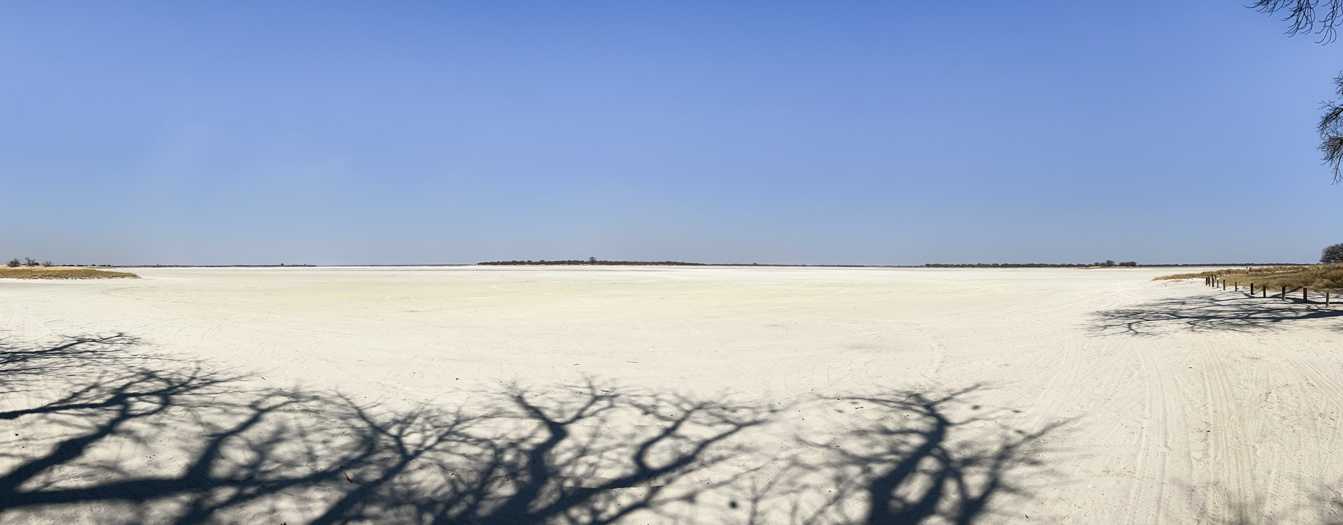 16.9.2022 - Baines Baobab, Kudiakam Pan