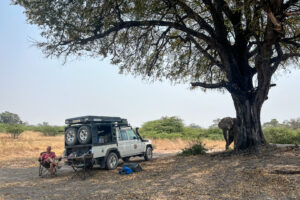 19.9.2022 - Moremi, Xini Lagoons, Resting Tree ... ooooops