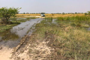 19.9.2022 - Moremi, Xini Lagoons, Wasserquerung