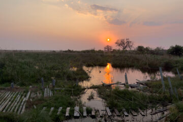 19.9.2022 - Moremi, die alte 3rd Bridge