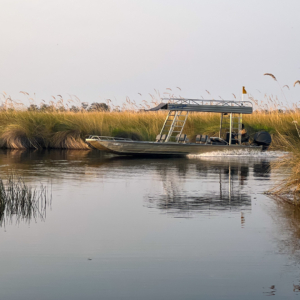 Botswana 2022 – Boat Trip Xakanaxa