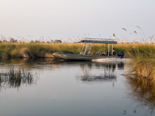 Botswana 2022 – Boat Trip Xakanaxa