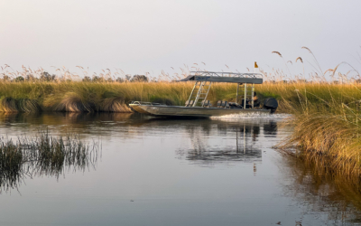 20.9.2022 - Moremi, Xakanaxa Bird Walk, "unser" Boot