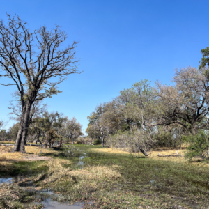 Botswana 2022 – Jesses & Sitshi Pool Botswana 2022 – Jesses & Sitshi Pool
