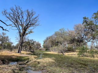 Botswana 2022 – Jesses & Sitshi Pool Botswana 2022 – Jesses & Sitshi Pool