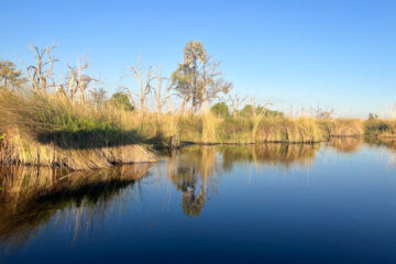 21.9.2022 - Moremi Xakanaxa, Boattrip