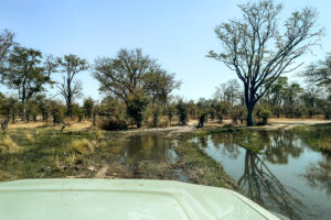 22.9.2022 - Moremi, Wasser-Fahrt zum Dombo Hippo Pool
