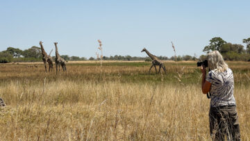 22.9.2022 - Moremi, Sexugu Plain