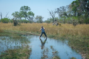 22.9.2022 - Moremi, Sexugu Plain, bitte hier durch's Wasser fahren