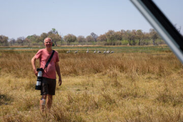 22.9.2022 - Moremi, Khwai Plain, Wattled Cranes