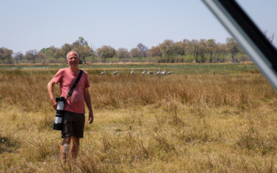 22.9.2022 - Moremi, Khwai Plain, Wattled Cranes