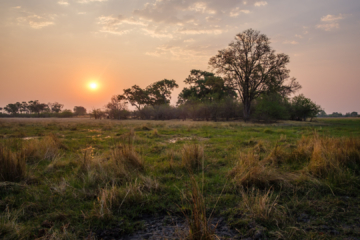 23.9.2022 - Moremi Khwai, Evening Walk