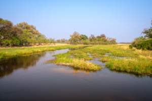 24.9.2022 - Moremi Khwai, Morning Walk, Khwai River