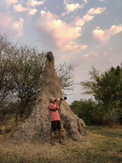 24.9.2022 - Old Bridge, Maun