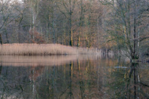 8.1.2023 - Kupferweiher, Poppenbüttel