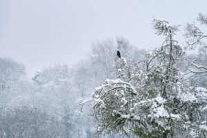 22.1.2023 - Schneewanderung