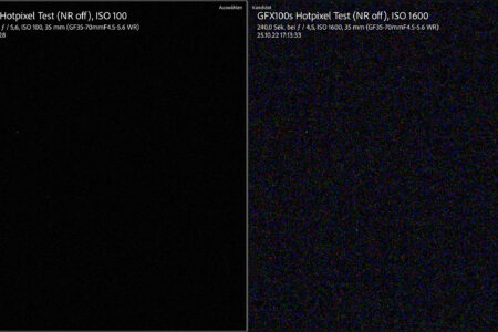 GFX 100S. 240 sec NR off ISO 100 vs. 1600, +4 (!) EV, 200%
