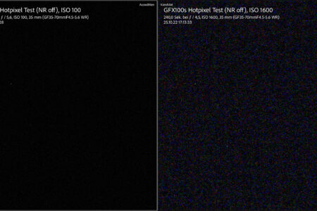 GFX 100S. 240 sec NR off ISO 100 vs. 1600, +4 (!) EV, 200%