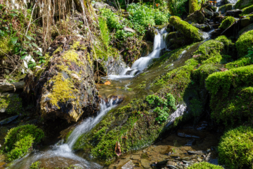 19.4.2023 - Monschau