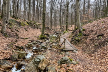 20.4.2023 - Spa-Bérinzenne