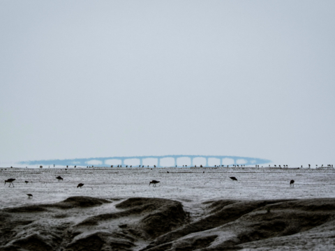 21.5.2023 - Radtour Damvix-Charron, mit der Pont de l´Île de Ré im Hintergrund