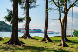 20.6.2023 - Island Hopping, St. John´s Island, direkt an der Hauptschifffahrtsstraße Asiens