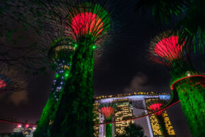 20.6.2023 - Gardens by the Bay, Supertree Grove