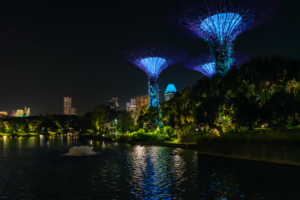 20.6.2023 - Gardens by the Bay, Dragonfly Lake