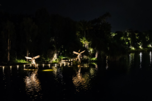 20.6.2023 - Gardens by the Bay, Dragonfly Riders