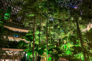 21.6.2023 - Changi Airport, Juwel