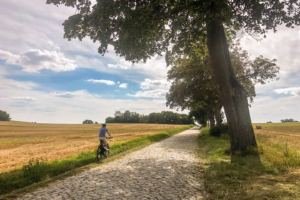 24.8.2023 - Radtour Göhren-Lebbin, Vorkriegspflaster ;-(