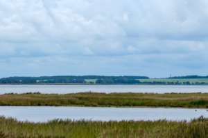 29.8.2023 - Radtour Zingst, Pramort