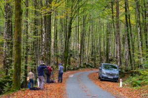 21.10.2023 - Bohinj, Wald hinter Ukanc