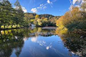 22.10.2023 - Tivoli, Lubljana